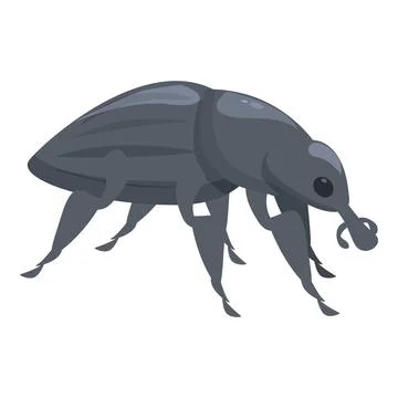 Gray weevil is taking a stroll Stock Illustration