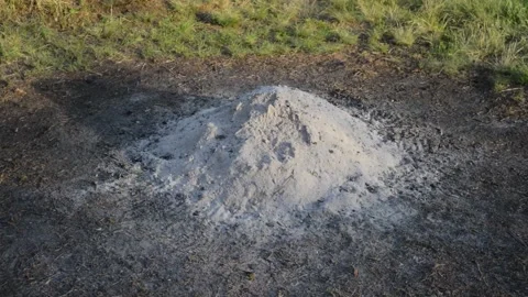 Gray white ash ashes pile heap stack from burnt fire Video stock 131472117