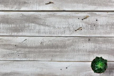 Gray, white, brown colored rustic wooden background Stock Photos