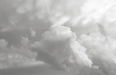 Gray-white clouds cover the sky, creating an overcast monochrome background.. Stock Photos
