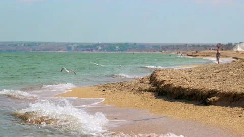 Gray-white seagulls fly over the sandy beach where the sea wave rolls over and Stock-Footage 151966861