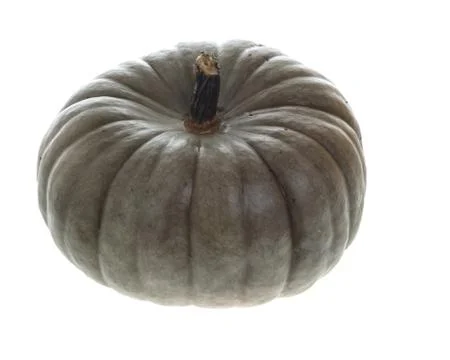 Gray winter squash or pumpkin 写真素材