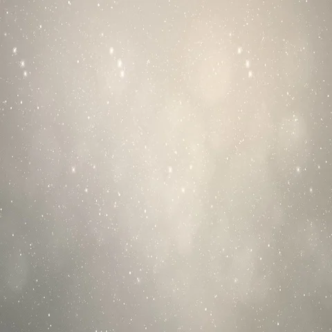 Gray Winter Wonderland Background. Stock Footage 69514384