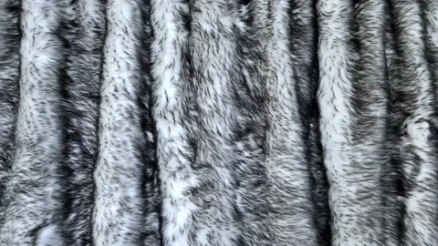 Gray wolf artificial fur background texture, fake animal fell Stock Footage 150229920