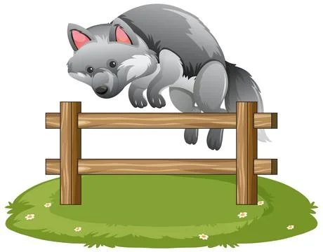 Gray Wolf Jumping Over Wooden Fence on Grass Stock Illustration