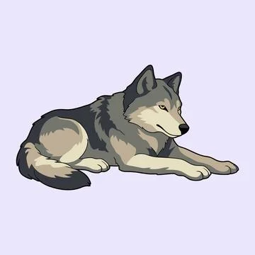 Gray Wolf Lying Down in Flat Design Vector Illustration Stock Illustration