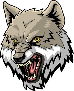 Gray Wolf Mascot Head Roaring With Sharp Teeth Stock Illustration