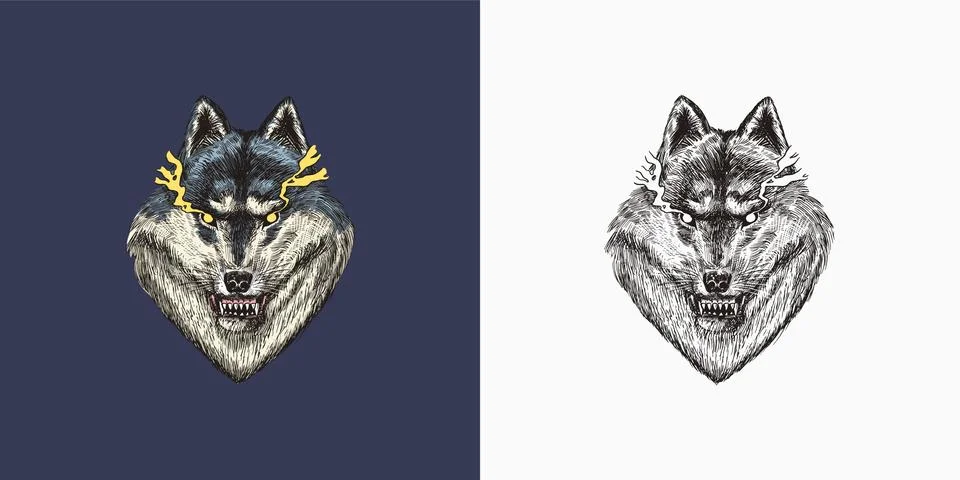 Gray wolf. A predatory beast. Wild forest animal. Vector Engraved hand drawn Stock Illustration