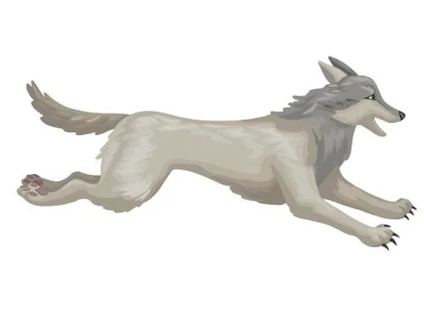 The gray wolf running. Vector cartoon illustration Stock Illustration