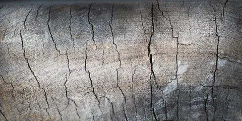 Gray wood surface Stock Photos