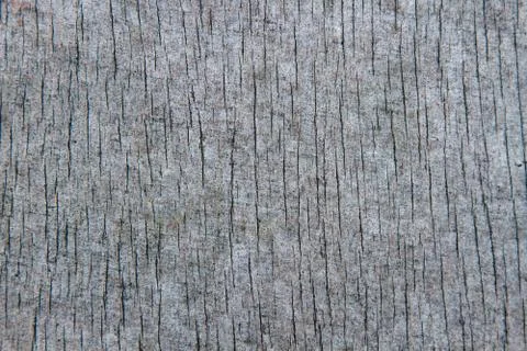 Gray wood texture Stock Photos