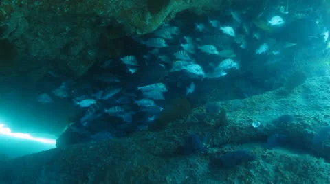 Graybar grunt Stock Footage 24356861