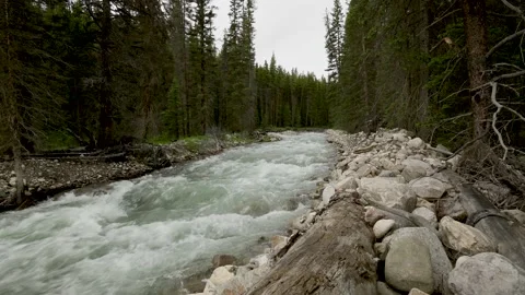 Grayish green silty mountain river full of rapids  Stock Footage 146873477