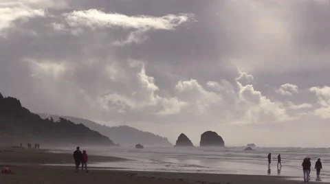 Grayland Beach, WA Vídeo Stock 45294585