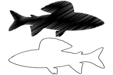 Grayling silhouette vector Stock Illustration