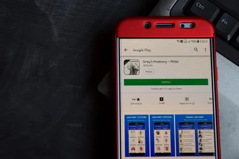 Gray's Anatomy - Atlas dev app on Smartphone screen. Stock-Fotos