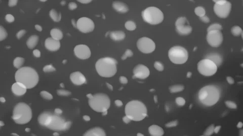 Grayscale  Black and White Spots &amp; Dot Pattern in Motion Stock Footage 304983729
