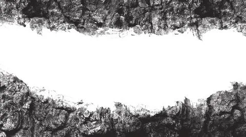 Grayscale Close-Up of Rough Tree Bark Texture Stock Illustration