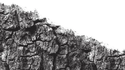 Grayscale Close-Up of Rough Tree Bark Texture Stock Illustration