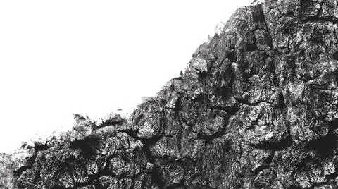 Grayscale Close-Up of Rough Tree Bark Texture Stock Illustration
