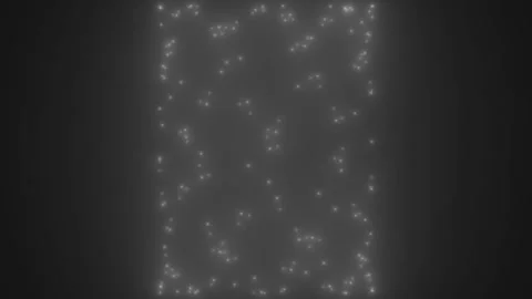 Grayscale Firefly Orb Dancing In A Circular Motion On A Foggy Night Loop Stock Footage 244330909