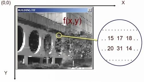 Grayscale Image Demonstrating Pixel Intensity Mapping with Highlighted Spat.. Stock Photos