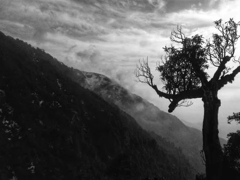 Grayscale landscape. Stock Photos