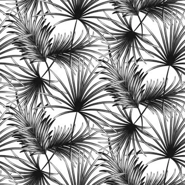 Grayscale palm leaves seamless vector pattern Stock Illustration
