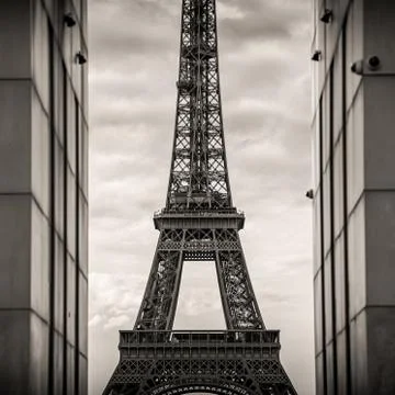 Grayscale shot of an Eiffel Tower in Paris, France Foto stock