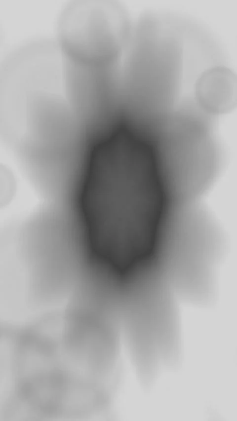 Grayscale Soft Flower Kaleidoscope Blur Vertical Motion Loop Stock Footage 345650912