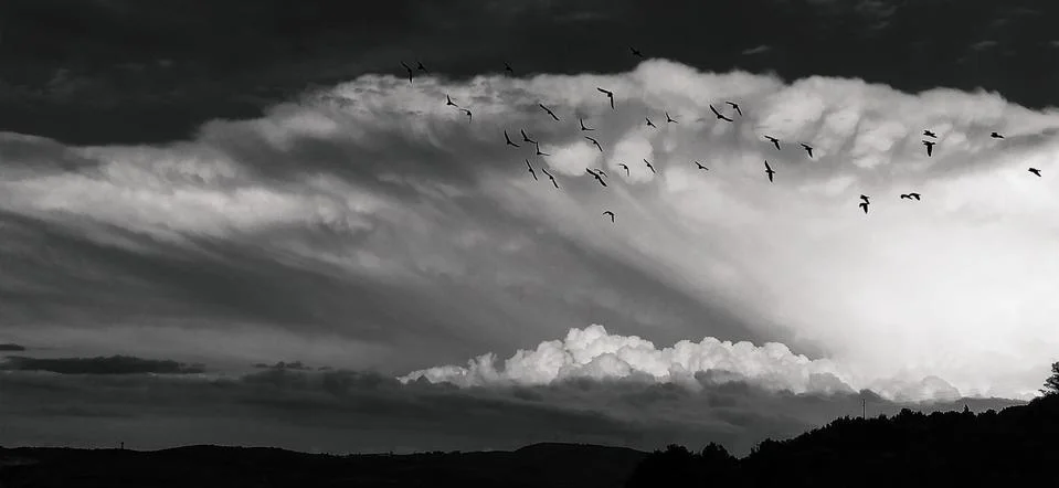 Grayscale storm clouds. grayscale clouds. Grayscale photos of clouds, nature, Stock Photos