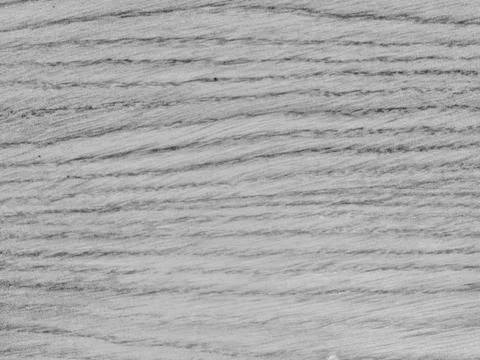 Grayscale wood texture background surface with natural pattern for design Photos