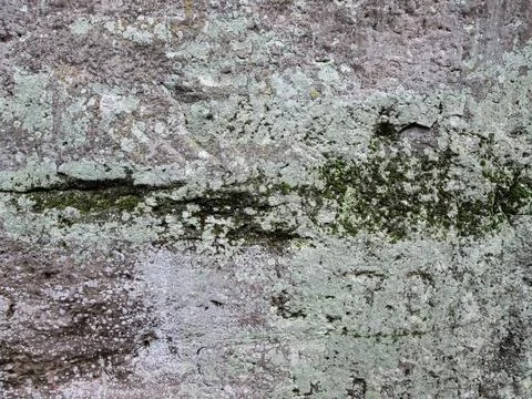 Graystone with light green moss. Texture with a rough, bumpy surface. Stock Photos