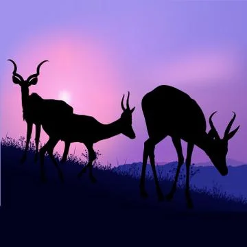 Grazing Antelopes Stock Illustration