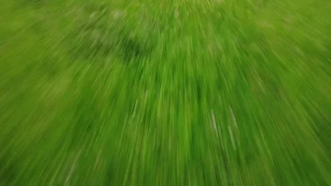 Grazing flight over a green grass field, fast images about one meter high Stock Footage 154475933