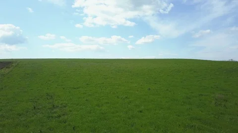 Grazing flight over a green meadow with an hill in background Stock Footage 87861345