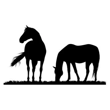 Grazing horses Illustrazione stock