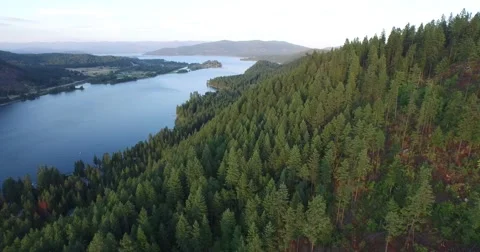 Grazing the Mountain Stock Footage 63645070