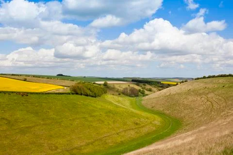 Grazing pastures in springtime Foto stock