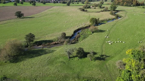Grazing sheep in fields alongside the tiny twisting river Arrow running Stock Footage 288967167