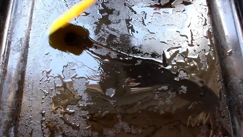 Grease butter baking sheet on kitchen. Stock Footage 129569810