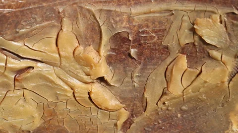 grease paint Abstract background | Stock Video | Pond5