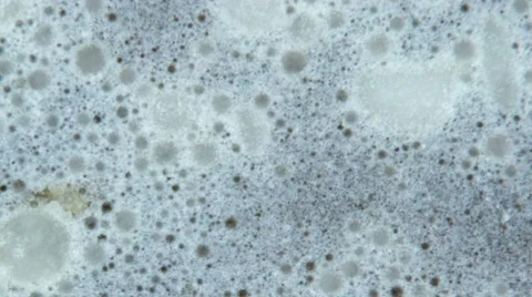 Grease in pan with soap 스톡 동영상 50417870