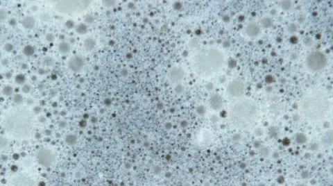 Grease in pan with soap Stock Footage 50417882