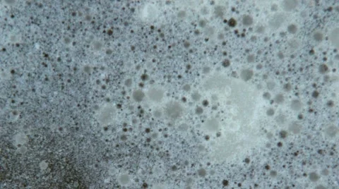 Grease in pan with soap Stock Footage 50418155