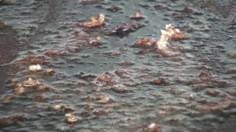 Greasey grill Stock Footage 97491