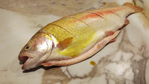 Greasing fish with marinade. Video stock 197117200