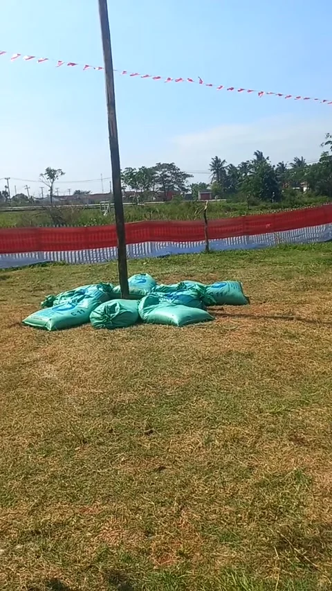 Greasy Pole Stockbeeldmateriaal 205064942