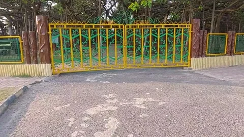 The Great Banyan Tree of Indian Botanic Garden Video stock 172561013