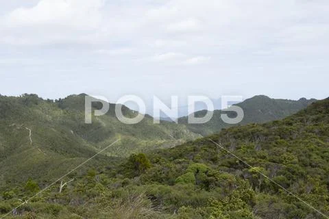 Great Barrier Island: View of Land Stock Photos